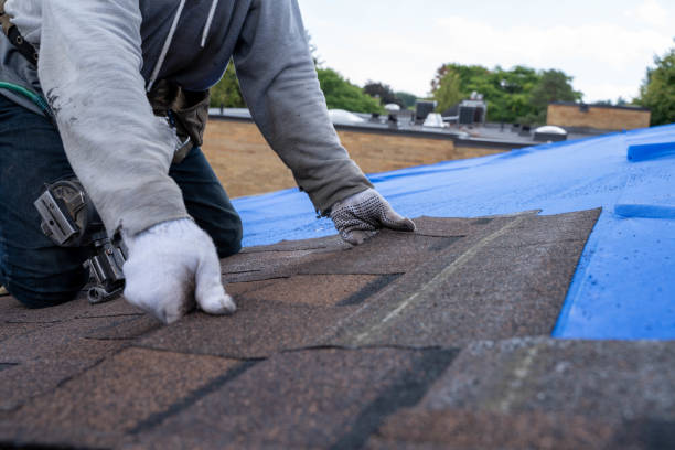 Best Roof Leak Repair  in Monroeville, AL
